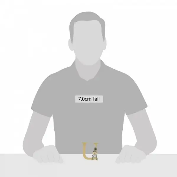 2185463-a29566_2-2-3-600 Disney Letter ‘U’ Stampertje Enchanting Collection