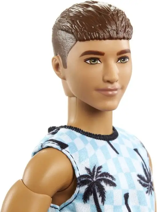 550x740 Barbie Ken Fashionista Rolstoel - Barbiepop
