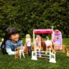 Barbie Mysteries The Great Horse Chase Droomstal Speelset