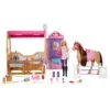 Barbie Mysteries The Great Horse Chase Droomstal Speelset
