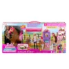 Barbie Mysteries The Great Horse Chase Droomstal Speelset