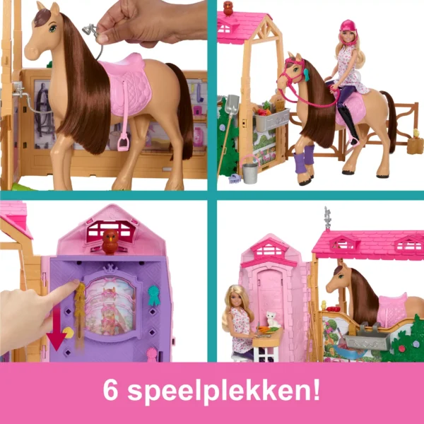 Barbie Mysteries The Great Horse Chase Droomstal Speelset