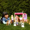 Barbie Mysteries The Great Horse Chase Droomstal Pop, Paard en Accessoires