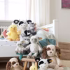 81vGQTbEFHL._AC_SY741_ Steiff knuffel Soft Cuddly Friends Dinkie ezel grijs Zachte pluche knuffel