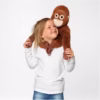 Pluche Slingeraap Knuffel - 40 cm - Bruin Punch het wereld beroemde aapje toystop.nl (3) Het virale pluche Punch aapje van Toystop als pluche orang-oetan knuffel.