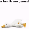 61XtVzZavOL._AC_SX679_ Steiff Pluche Gilda Gans Knuffel - 26 cm
